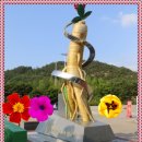 (주)케이알산업 입장(상)휴게소 | 여행의 묘미 &#34;금산인삼랜드 휴게소&#34; 방문기