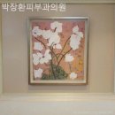 박장환피부과의원 이미지