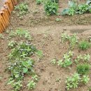 윤이농장 이미지