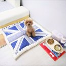 잘하는 동물메디컬센터 이미지