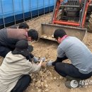 강원특별자치도축산기술연구소 이미지