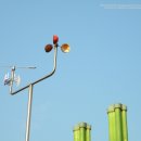 목련초등학교 이미지