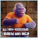 (주)원일환경안전연구원-중복 | WH-1000XM5 소니 스터디 헤드폰(플래티넘 실버)
