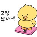 원주국민체육센터 수영장 이미지