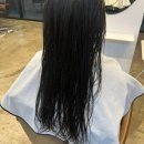 데이프헤어 | [ 제주 외도일동 | 미용실 ] " 데이프헤어 제주외도 " 세나 선생님 추천 ! 헤어 클리닉 ! 두피 클리닉 !