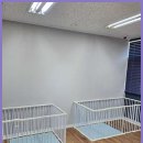 킹스키즈 개린이집 | 인천부평애견유치원 내 강아지의 행복한 유치원과 호텔, 킹스키즈 개린이집