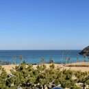 바바호미 이미지