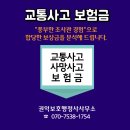 김영일 사무소 이미지