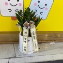 퍼니잼잼두실점