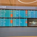 이동-8 | 인천공항 골프 단체 8명 픽업→부안 이동 후기