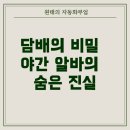 고상주유소 | 편의점 야간 알바, 사장님이 아침마다 담배를 찍어 현금결제 요구하는 진짜 이유는?