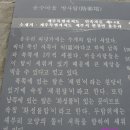 용수마을방사탑 1호 | 제주 용수마을방사탑1호(제주특별자치도 민속문화재8-8호)