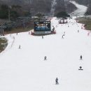 더플라워펜션 이미지