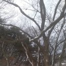 운학동 돌무지군 이미지