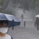 수락세월교 서울신문