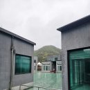남이섬설리조트3 네이버블로그