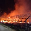 용인양계 이미지