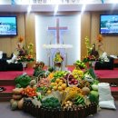 양진병설유치원 이미지