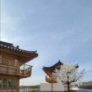 경주미담한옥풀빌라 이미지