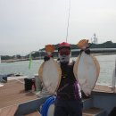 당진호스릴-67 | 당진 왜목항 디스커버리호와 함께 도요신상릴 "라그나" 광어다운샷 사용 후기 !