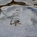 서출동류 물길 트레킹 길 이미지