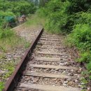 신현2농로 이미지