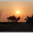 망상오토캠핑리조트 이미지