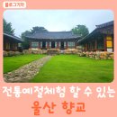 전통예절 체험과 역사 공부를 한 번에!!! 울산 향교