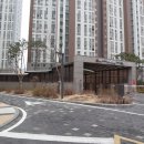 씨네일앤풋닥터