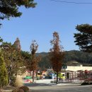 엽이오락실 이미지