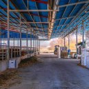 청산축산 이미지