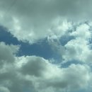 능이꿩만두국 | 포천 산정호수 근처 만두전골맛집 능이꿩만두국