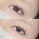 4671 | 신도림 속눈썹펌 바니앤피그 찐단골 내돈내산 후기 (가격, 유지력, 영양제 추천)