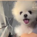 애니컴서비스 이미지
