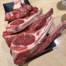 투다리 한들물빛도시점 | 아산 탕정 양갈비 맛집 라무진 한들물빛도시점 내돈내산 후기