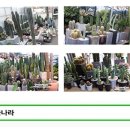 신목농장 이미지