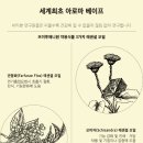 비타민전자 이미지