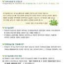 황토참손