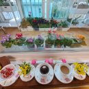 카페꽃길 이미지