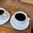 비바라떼 이미지