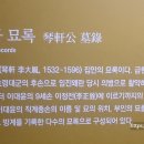 부산대학교박물관 이미지