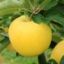 대성농장(5) 이미지