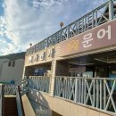 거가 | 거제도숙소 거가연가 내돈내산 후기