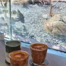 초록마을 강릉유천점 | [강릉카페추천] 초당옥수수커피와 인테리어 맛집 대형카페 카페콥스 솔직후기! 메뉴추천