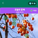 정답은꽃 이미지