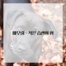 내면의 평온을 찾는 명상 이미지