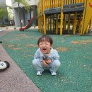 씽씽화원