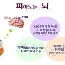 피아노가좋다음악학원