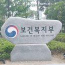 경기 175 경기일보