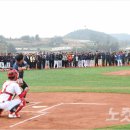 거금야구장 이미지